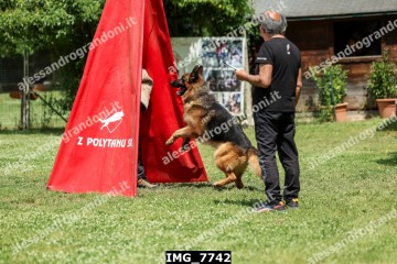 IMG_7742.jpg