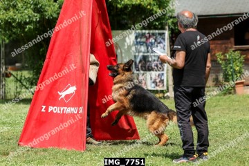 IMG_7751.jpg