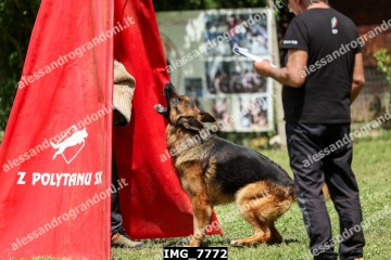 IMG_7772.jpg