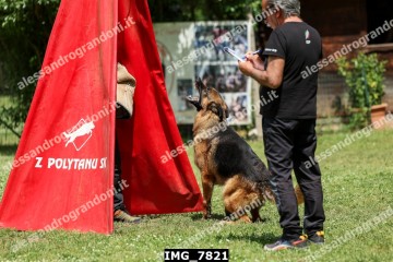 IMG_7821.jpg