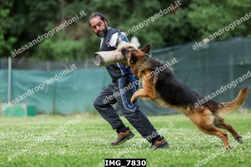 IMG_7830.jpg