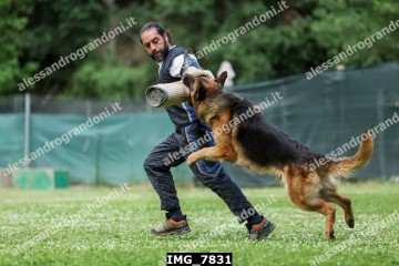 IMG_7831.jpg