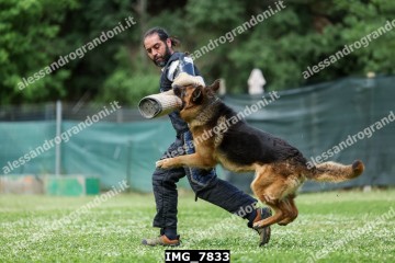 IMG_7833.jpg