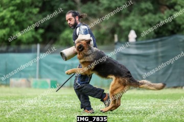IMG_7835.jpg