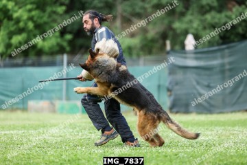 IMG_7837.jpg