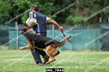 IMG_7844.jpg