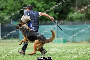 IMG_7847.jpg