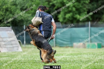 IMG_7851.jpg