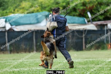 IMG_7862.jpg