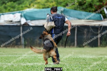 IMG_7867.jpg