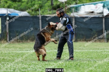 IMG_7892.jpg