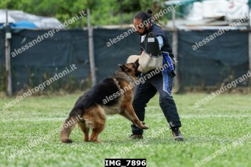 IMG_7896.jpg