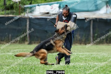 IMG_7909.jpg