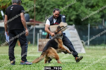 IMG_7926.jpg