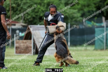 IMG_7937.jpg
