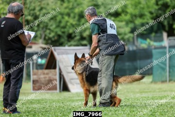 IMG_7966.jpg