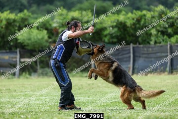 IMG_7991.jpg