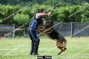 IMG_7993.jpg