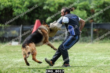 IMG_8017.jpg