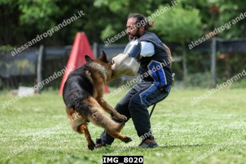 IMG_8020.jpg
