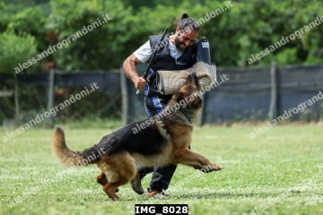 IMG_8028.jpg