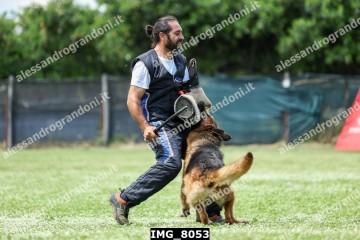 IMG_8053.jpg