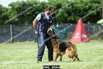 IMG_8064.jpg