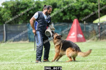 IMG_8073.jpg