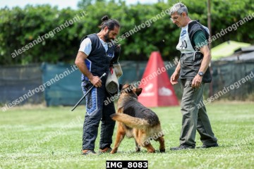 IMG_8083.jpg
