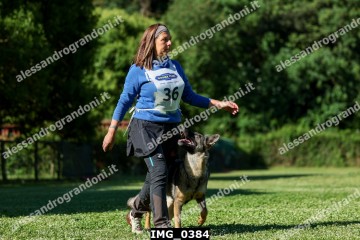 IMG_0384.jpg