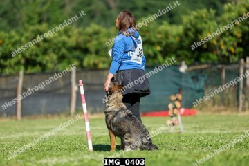 IMG_0403.jpg