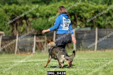 IMG_0428.jpg