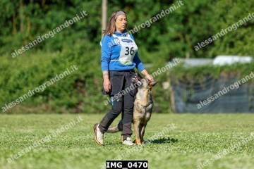 IMG_0470.jpg