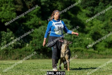 IMG_0521.jpg