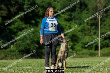 IMG_0527.jpg