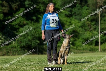 IMG_0531.jpg