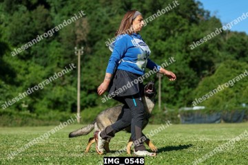 IMG_0548.jpg