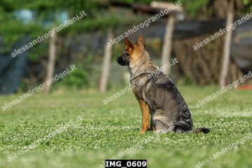 IMG_0609.jpg