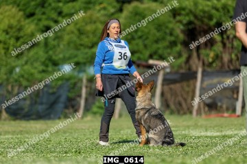 IMG_0614.jpg