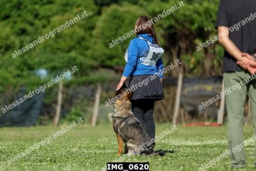 IMG_0620.jpg