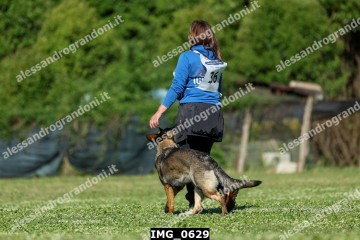 IMG_0629.jpg