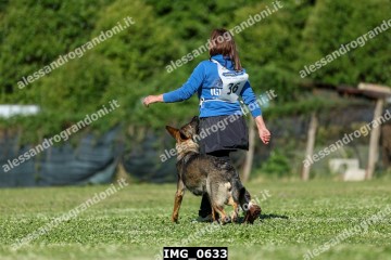 IMG_0633.jpg