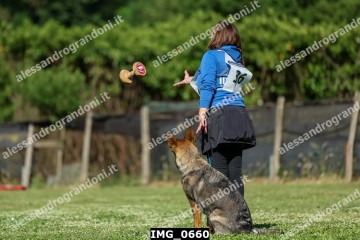IMG_0660.jpg