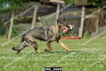 IMG_0689.jpg