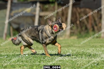IMG_0694.jpg