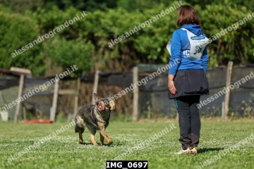 IMG_0697.jpg