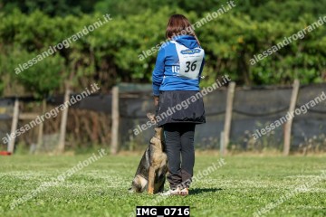 IMG_0716.jpg