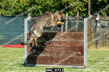 IMG_0721.jpg