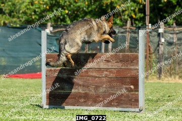 IMG_0722.jpg