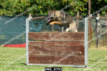 IMG_0752.jpg